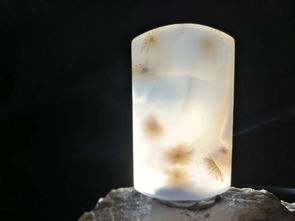 有一種海洋玉髓叫過目不忘 精品海玉288專場 772 期