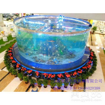 青海魚缸工廠 匠心打造大型亞克力圓柱形魚缸與鯊魚水族箱